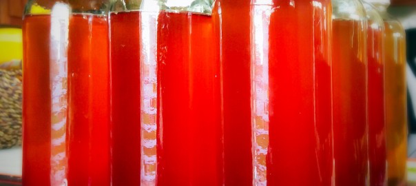 How to make your own Kombucha ~by The Belly Fit Club